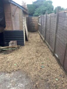 Conifer Tree Felled and Stump Grinded